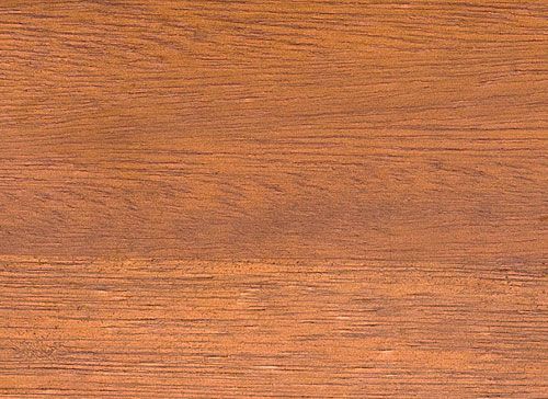 jmartinsdias-Eucalipto